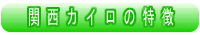 ���{ �r�c�s�̐��̉@�y�֐��J�C���v���N�e�B�b�N�z����